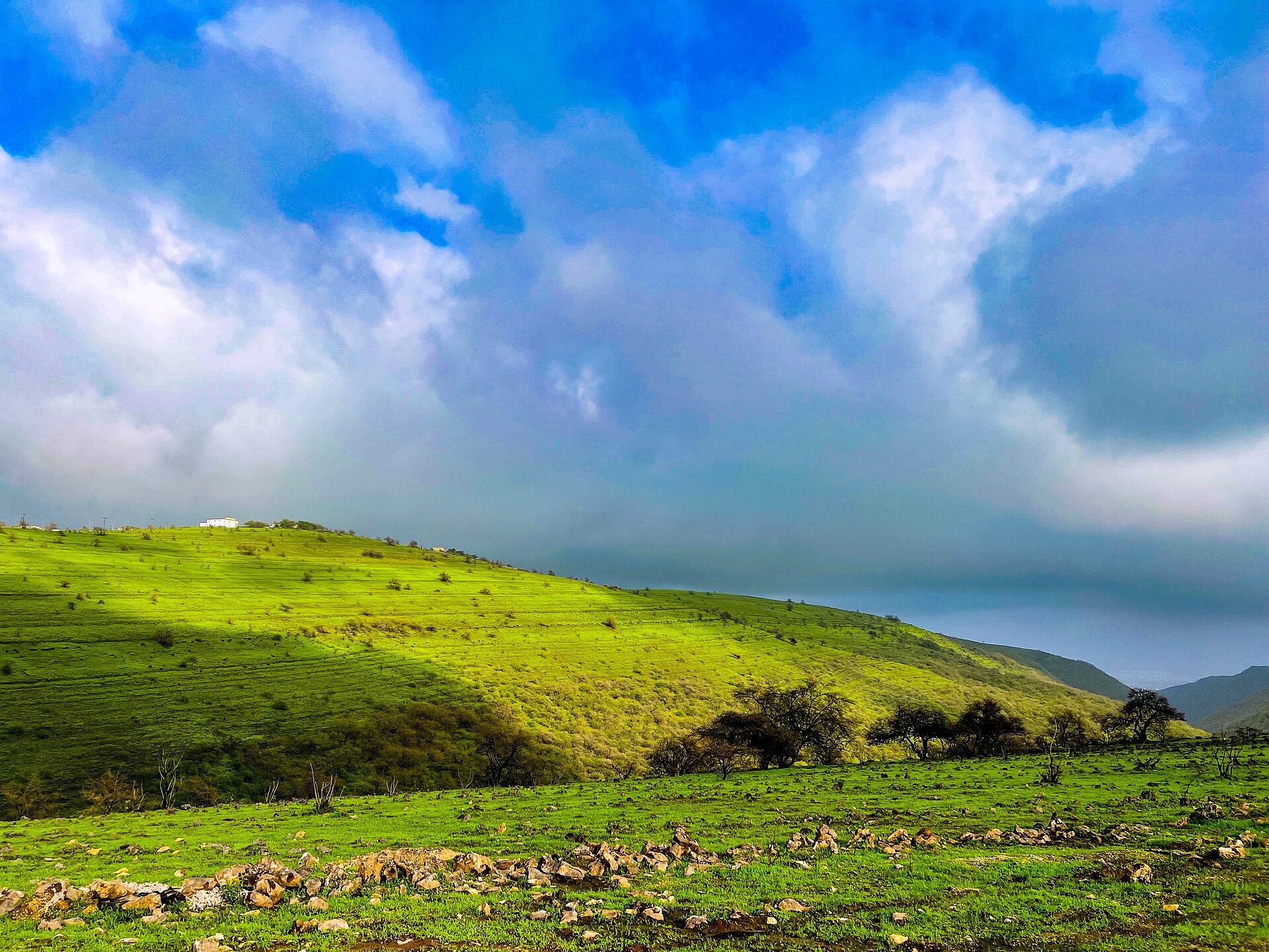 Green hills above the sea near Salalah during the Khareef
